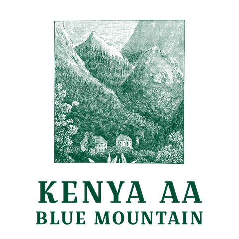 Kenya AA Blue Mountain