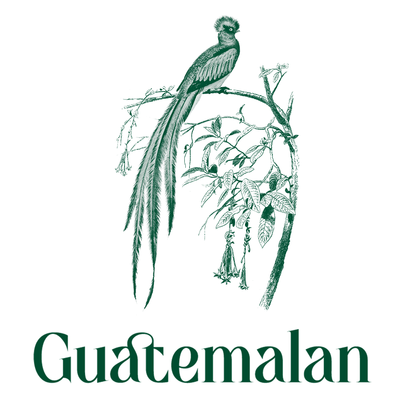 Guatemalan