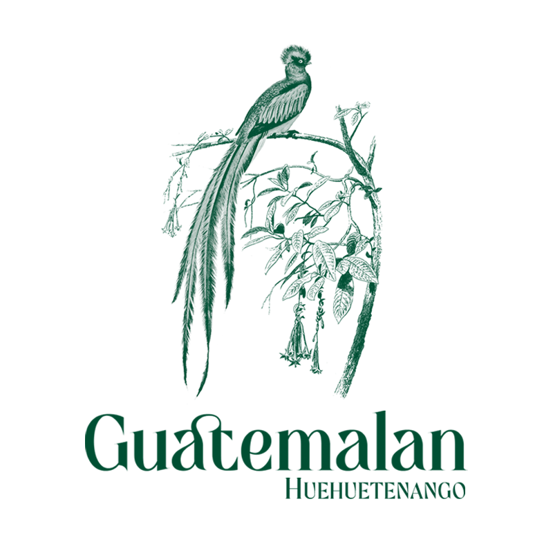 Guatemalan Huehuetenango