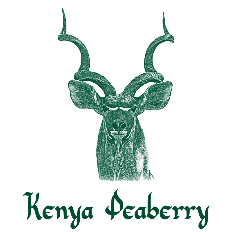 Kenya Peaberry