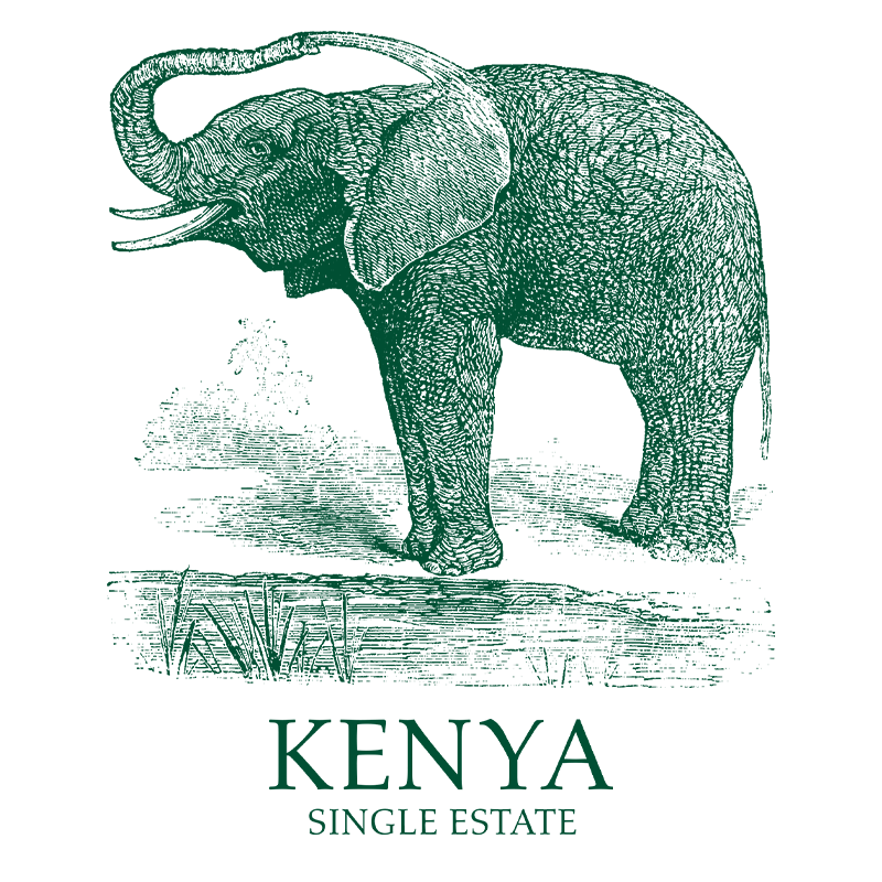 Kenya Single Estate