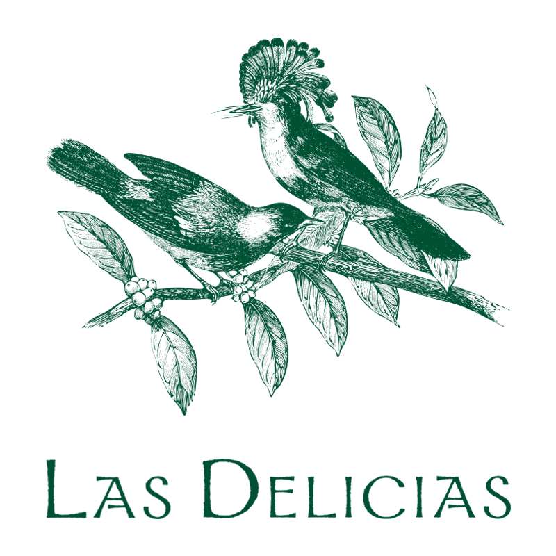 Las Delicias