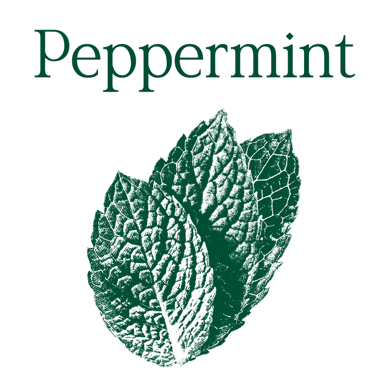Peppermint Loose Leaf Tea
