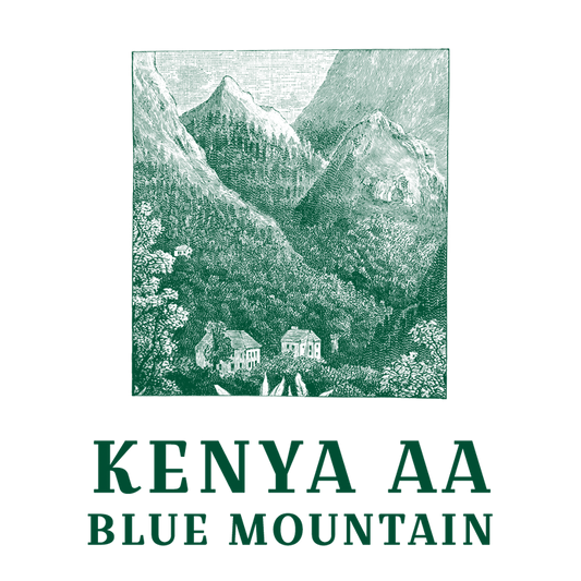 Kenya AA Blue Mountain