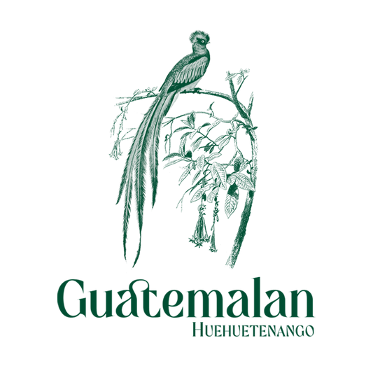 Guatemalan Huehuetenango